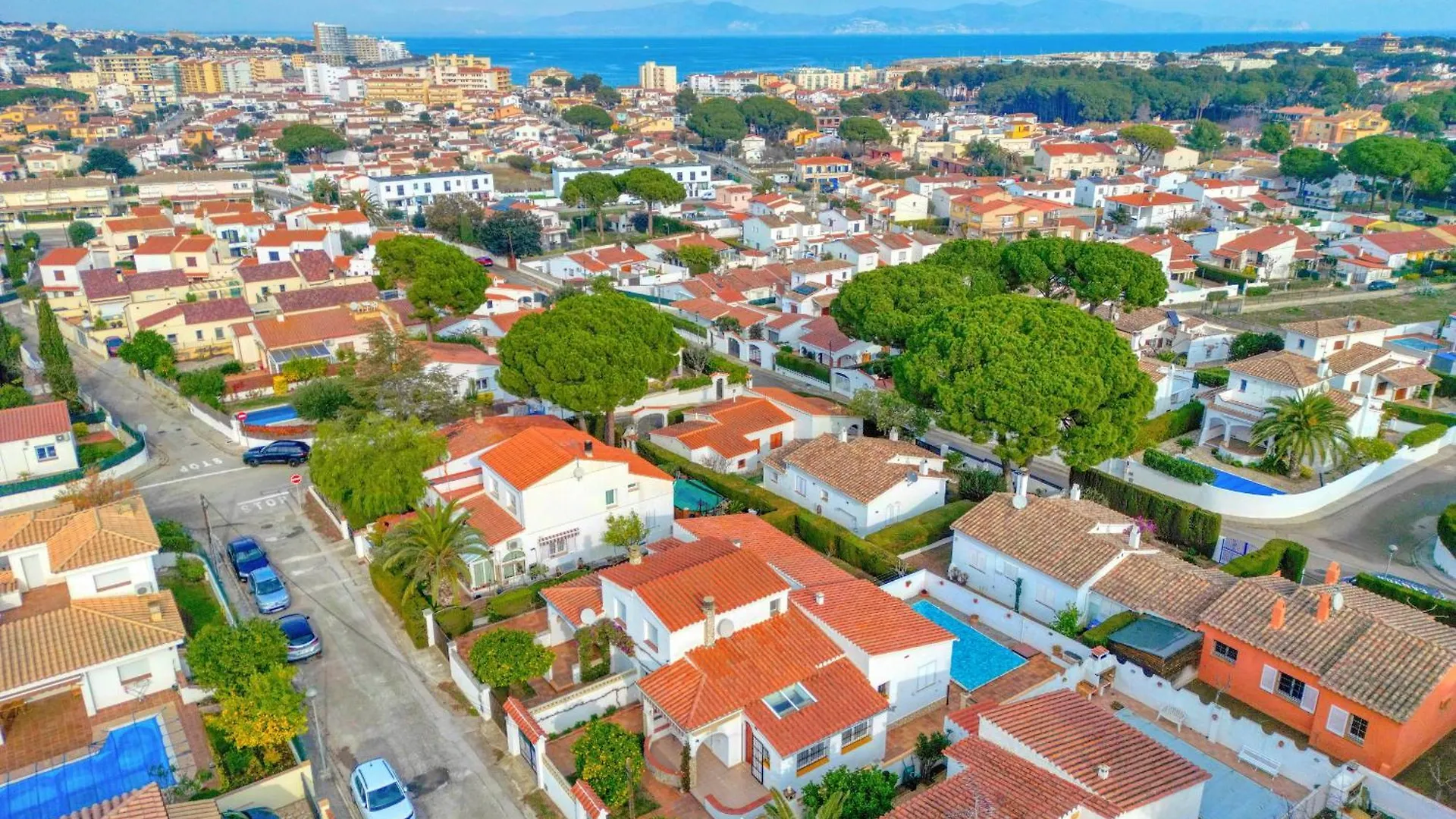 Falguera L' Escala